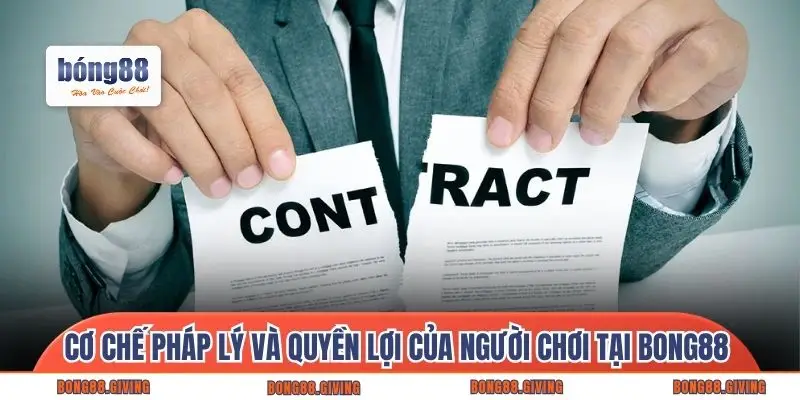 Cơ chế pháp lý và quyền lợi của người chơi tại Bong88