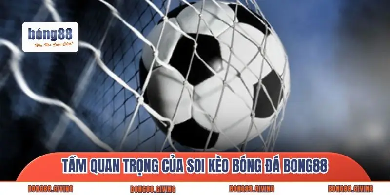 Tầm quan trọng của soi kèo bóng đá Bong88